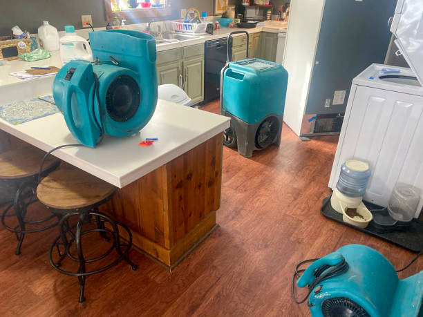 Best Carpet water damage restoration  in Oxford, KS