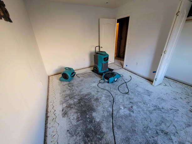Best Flood restoration services  in Oxford, KS